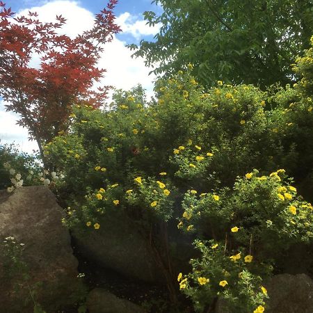 Freundliches Studio Bei Boeblingen Altdorf  외부 사진