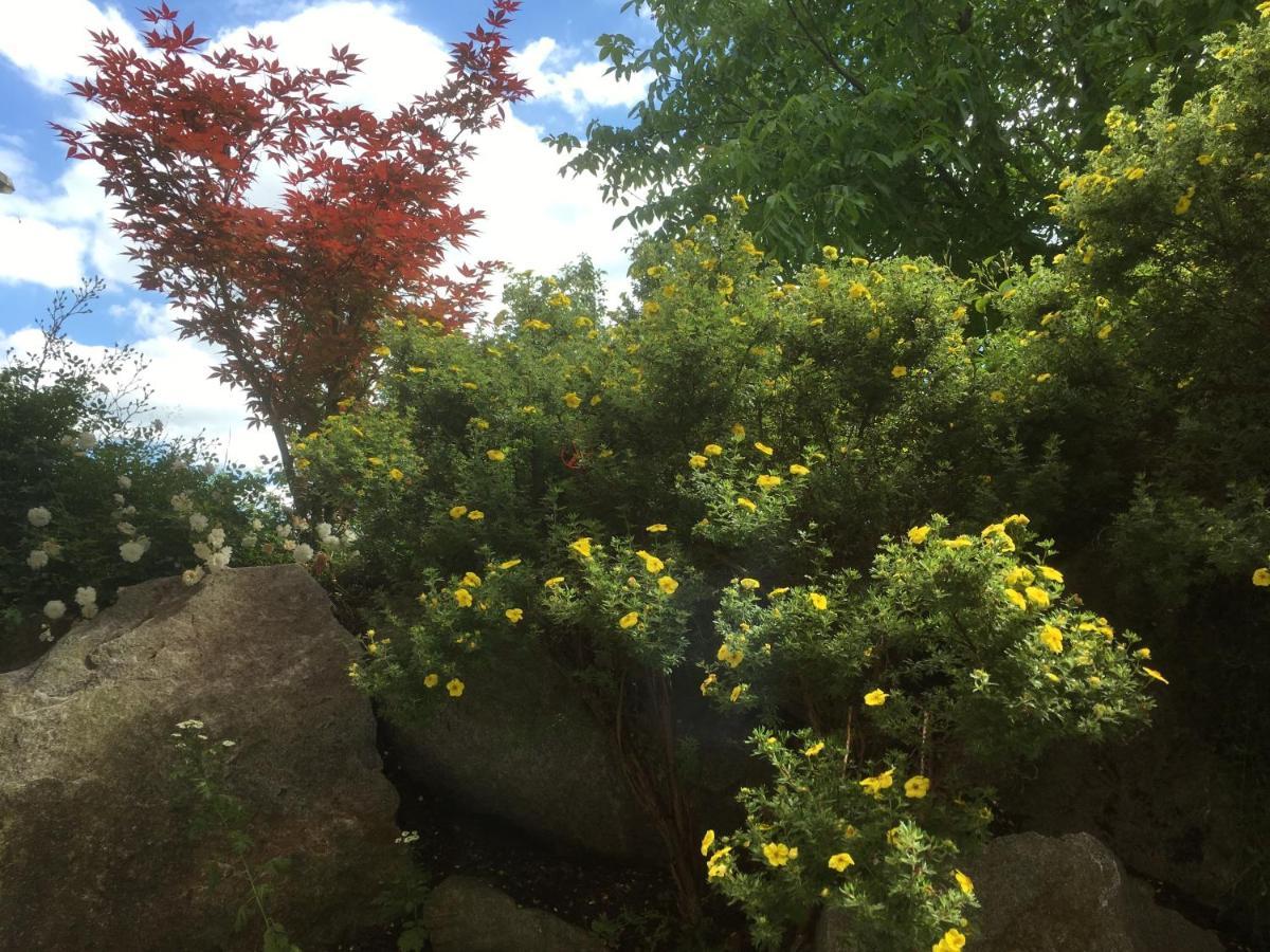 Freundliches Studio Bei Boeblingen Altdorf  외부 사진